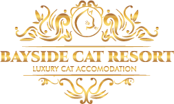 Bayside Cat Resort Logo